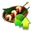 icon